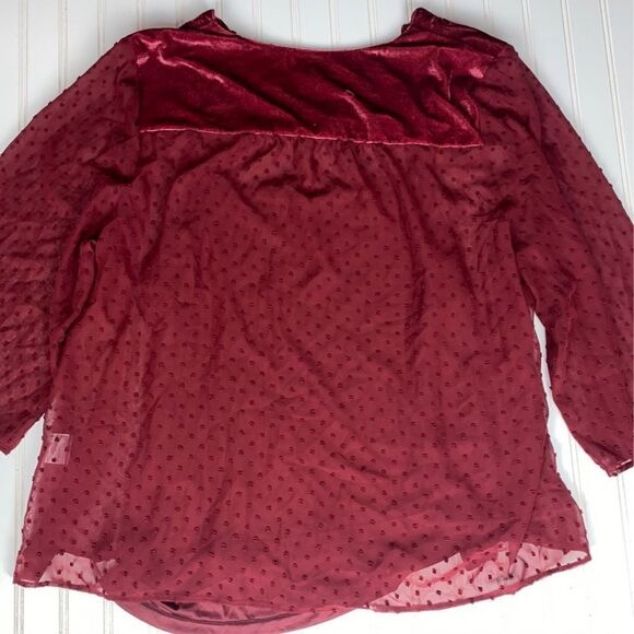 Style & Co Eyelet Red Swiss Dot Velvet Velour Yoke Top Blouse 3X NWT - Picture 10 of 11